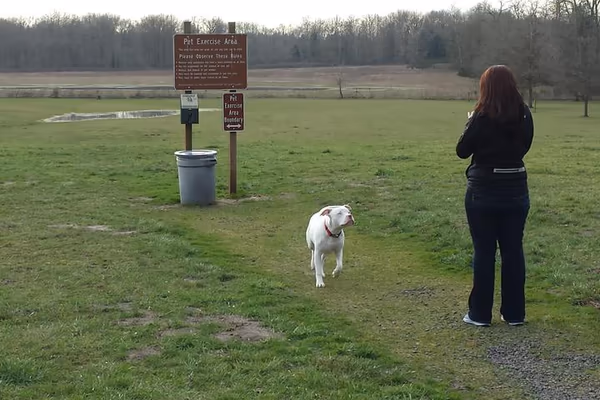 Newberg Dog Park photo 1